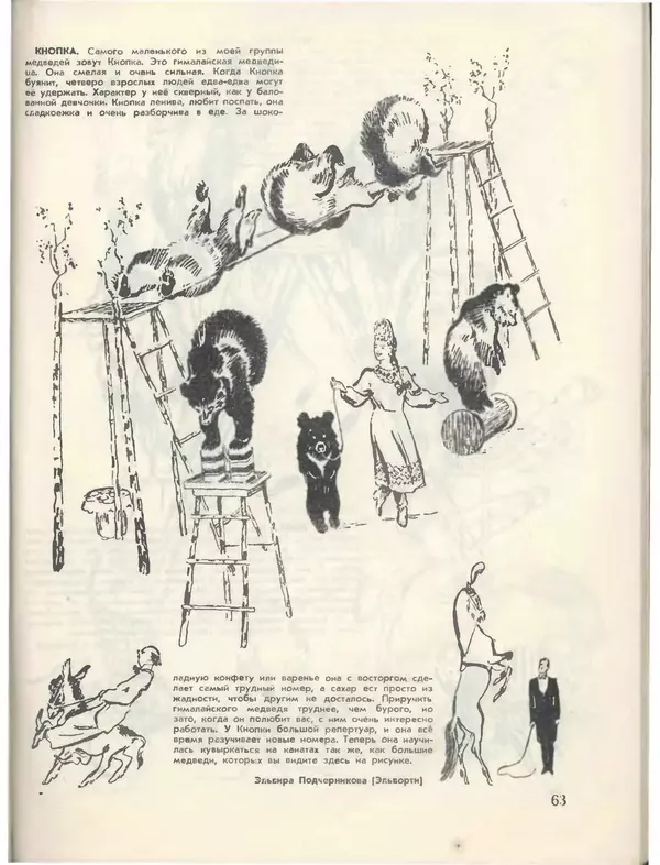 КулЛиб.   Журнал «Пионер» - Пионер, 1955 № 01. Страница № 69