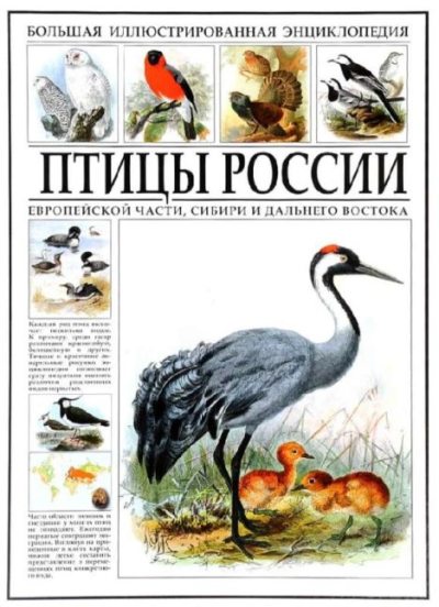 Птицы России (pdf)