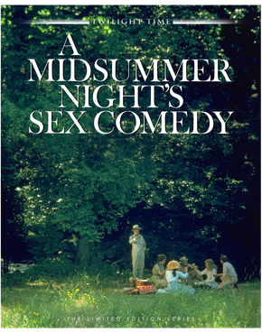 Секс-комедия в летнюю ночь [=Комедия секса в летнюю ночь] (fb2)
