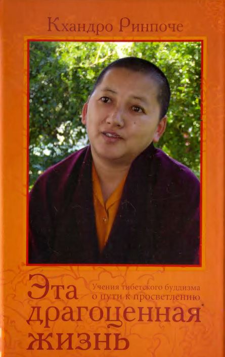 Эта драгоценная жизнь. Учения тибетского буддизма о пути к просветлению. (fb2)