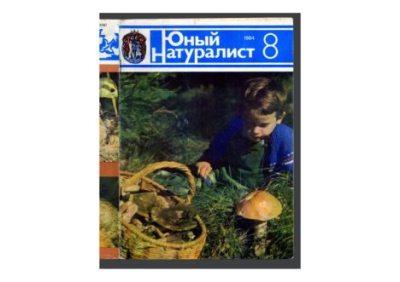 Юный натуралист 1984 №08 (pdf)