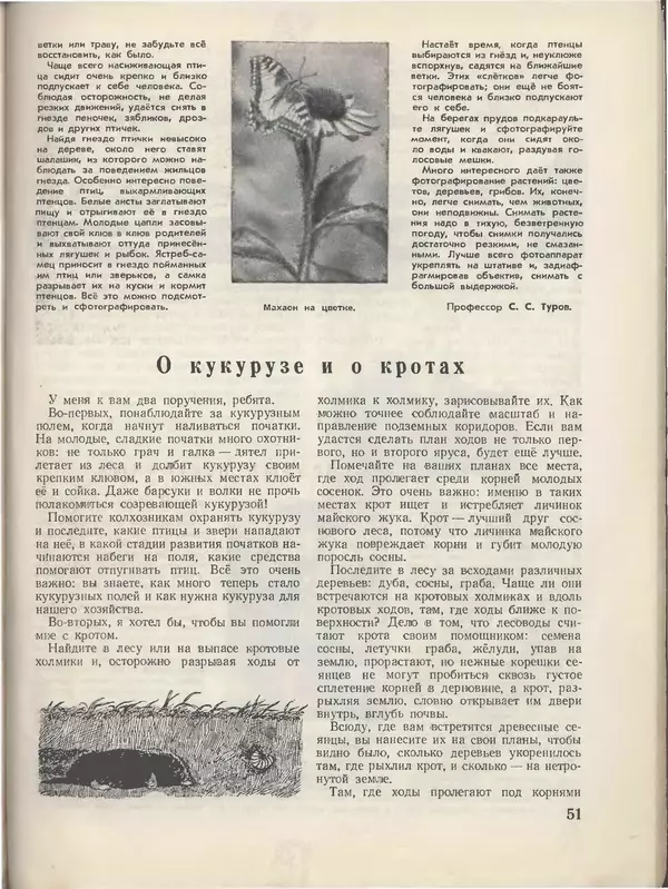 КулЛиб.   Журнал «Пионер» - Пионер, 1955 № 06 (без 4 посл.страниц). Страница № 57
