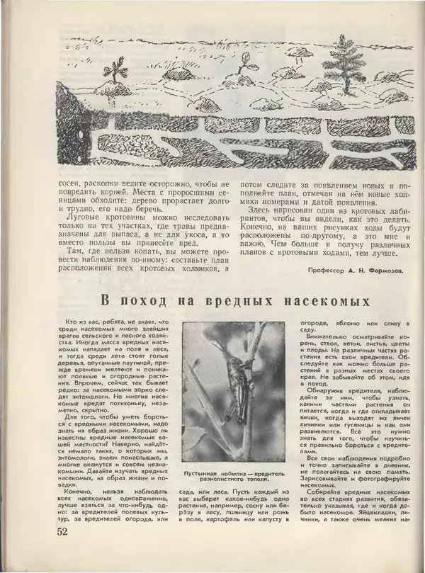 КулЛиб.   Журнал «Пионер» - Пионер, 1955 № 06 (без 4 посл.страниц). Страница № 58