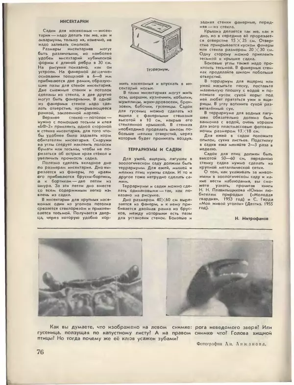 КулЛиб.   Журнал «Пионер» - Пионер, 1955 № 06 (без 4 посл.страниц). Страница № 82