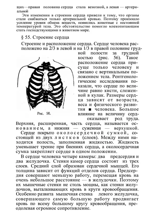 КулЛиб. М. С. Миловзорова - Анатомия и физиология человека. Страница № 172