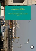Книга - Anastasia  Milko - A little Turkish boy with a wooden stick (fb2) читать без регистрации