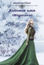 Книга - Юлия  Шкутова - Кодовое имя «Морозко». Книга 1 (fb2) читать без регистрации