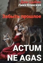 Книга - Дмитрий  Цыбин - Actum ne agas. Забыть прошлое (fb2) читать без регистрации
