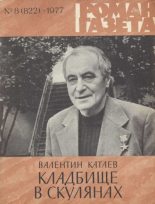 Книга - Валентин Петрович Катаев - Кладбище в Скулянах (fb2) читать без регистрации