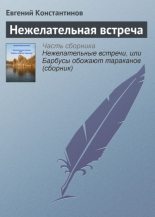 Книга - Евгений Михайлович Константинов - Нежелательная встреча (fb2) читать без регистрации