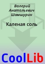 Книга - Валерий Анатольевич Шамшурин - Каленая соль (fb2) читать без регистрации