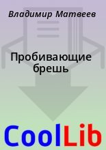 Книга - Владимир  Матвеев - Пробивающие брешь (fb2) читать без регистрации