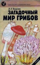 Книга - Лидия Григорьевна Бурова - Загадочный мир грибов (fb2) читать без регистрации