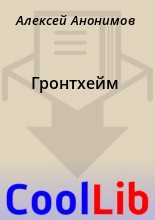 Книга - Алексей  Анонимов - Гронтхейм (fb2) читать без регистрации