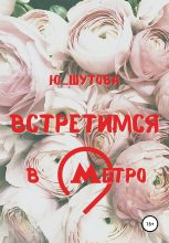 Книга - Юлия  Шутова - Встретимся в метро (fb2) читать без регистрации