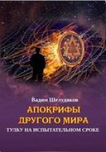Книга - Вадим  Шелудяков - Тулку на испытательном сроке (fb2) читать без регистрации