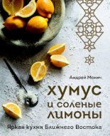 Книга - Андрей Александрович Мокич - Хумус и соленые лимоны. Яркая кухня Ближнего Востока (pdf) читать без регистрации