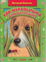 Книга - Виталий Валентинович Бианки - Как муравьишка домой спешил (fb2) читать без регистрации
