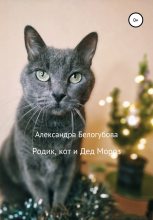 Книга - Александра  Белогубова - Родик, кот и Дед Мороз (fb2) читать без регистрации