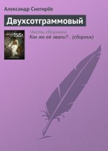 Книга - Александр  Снегирев - Двухсотграммовый (fb2) читать без регистрации