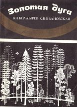 Книга - Виктор Николаевич Болдырев - Золотая Дуга (fb2) читать без регистрации