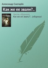 Книга - Александр  Снегирев - Как же ее звали?.. (fb2) читать без регистрации