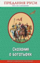 Книга -   Эпосы, мифы, легенды и сказания - Сказания о богатырях. Предания Руси (fb2) читать без регистрации