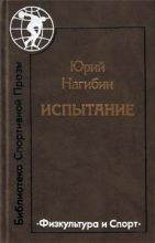 Книга - Юрий Маркович Нагибин - Погоня (fb2) читать без регистрации