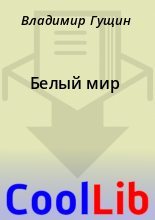 Книга - Владимир  Гущин - Белый мир (fb2) читать без регистрации