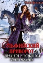 Книга - Мария  Вельская (Шеллар Аэлрэ) - Эльфийский приворот, драк-кот и Новый год. Зима в Академии (СИ) (fb2) читать без регистрации