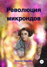 Книга - Евгения Ивановна Хамуляк - Революция микрондов (fb2) читать без регистрации