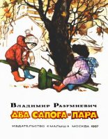 Книга - Владимир Лукьянович Разумневич - Два сапога — пара (fb2) читать без регистрации