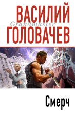 Книга - Василий Васильевич Головачев - Смерч (fb2) читать без регистрации