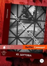 Книга - Юлия  Шутова - Дао Евсея Козлова (fb2) читать без регистрации