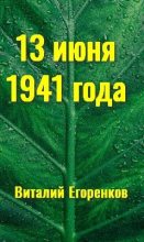 Книга - Виталий  Егоренков - 13 июня 41 года (fb2) читать без регистрации