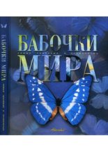 Книга -   Коллектив авторов - Бабочки мира (pdf) читать без регистрации
