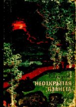 Книга - Борис Валерианович Ляпунов - Неоткрытая планета (djvu) читать без регистрации