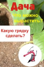 Книга - Илья  Мельников - Что можно вырастить? Какую грядку сделать? (fb2) читать без регистрации