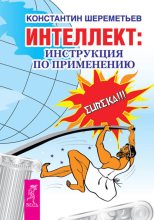 Книга - Константин  Шереметьев - Интеллект: инструкция по применению (fb2) читать без регистрации