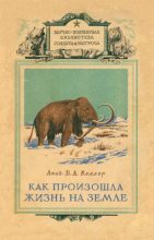 Книга - Борис Александрович Келлер - Как произошла жизнь на земле (fb2) читать без регистрации