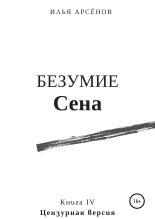 Книга - Илья Александрович Арсёнов (Илья Сирус) - Безумие Сена (fb2) читать без регистрации