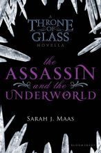 Книга - Сара Дж Маас - Убийца и подземный мир (ЛП) (fb2) читать без регистрации