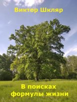 Книга - Виктор Львович Шкляр - В поисках формулы жизни (pdf) читать без регистрации