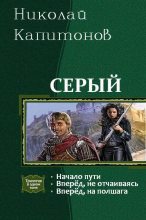 Книга - Николай Анатольевич Капитонов - Серый (fb2) читать без регистрации