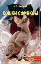 Книга - Дарья Владимировна Нестерова - Кошки – сфинксы (fb2) читать без регистрации