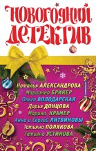 Книга - Анна и Сергей  Литвиновы - Новогодний кот (fb2) читать без регистрации