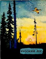 Книга - Иван Сергеевич Соколов-Микитов - Русский лес (pdf) читать без регистрации