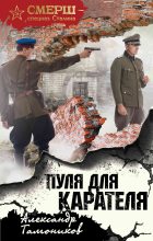 Книга - Александр Александрович Тамоников - Пуля для карателя (fb2) читать без регистрации