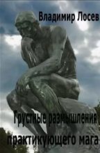 Книга - Владимир Иванович Лосев - Грустные размышления практикующего мага (fb2) читать без регистрации