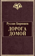 Книга - Руслан Рустамович Бирюшев - Дорога домой (fb2) читать без регистрации